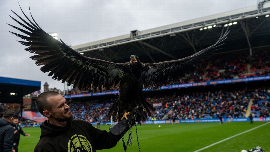 Crystal Palace: Clipped Wings